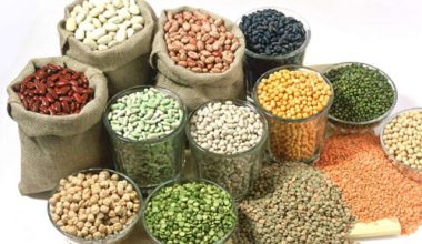 Pulses & Lentils
